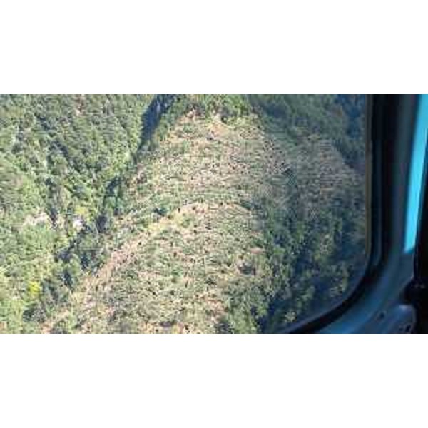 Alcuni effetti del maltempo a Socchieve - Alcuni effetti del maltempo a Socchieve