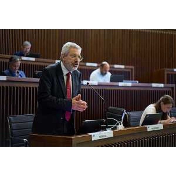 Furio Honsell (Open Sinistra Fvg) - IV Commissione