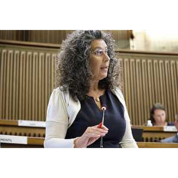 Serena Pellegrino (Avs) - Consiglio Regionale, ACON