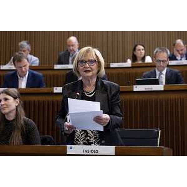 Laura Fasiolo (Pd) - Laura Fasiolo (Pd)