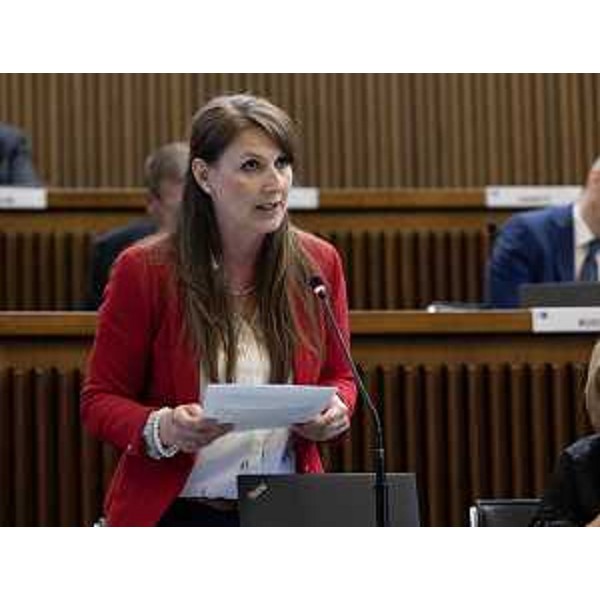 Rosaria Capozzi (Gruppo misto) - Rosaria Capozzi (Gruppo misto)