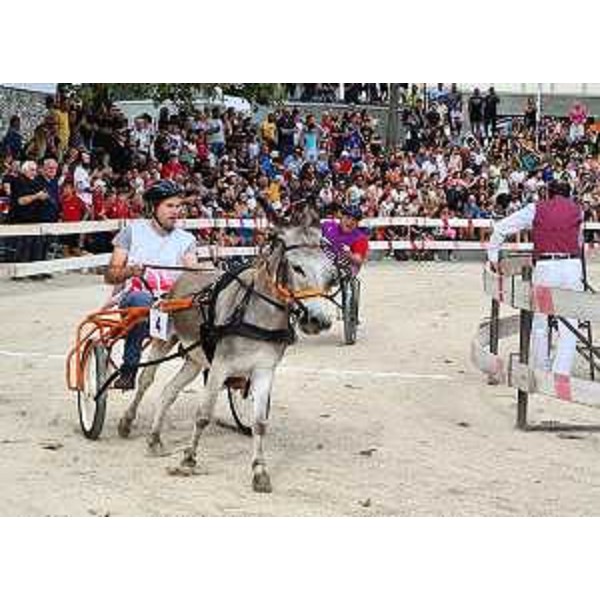 La Corsa degli asini di Fagagna 2023 - La Corsa degli asini di Fagagna 2023