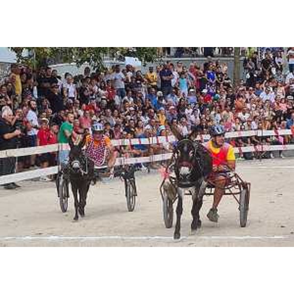 La Corsa degli asini di Fagagna 2023 - La Corsa degli asini di Fagagna 2023