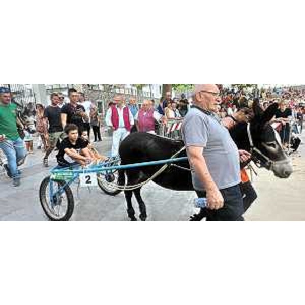 L'ingresso degli asini nell'arena - L'ingresso degli asini nell'arena