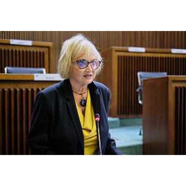 Laura Fasiolo (Pd) - Laura Fasiolo (Pd)