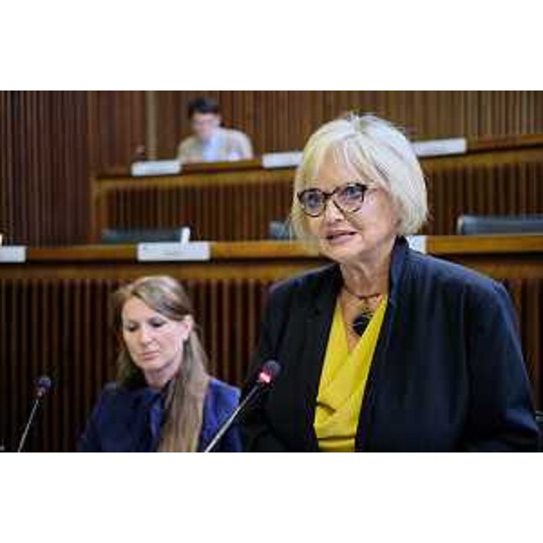 Laura Fasiolo (Pd) - Laura Fasiolo (Pd)