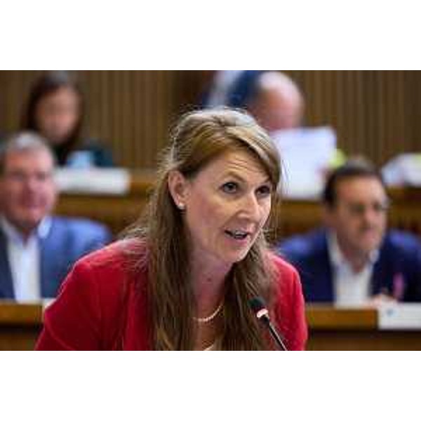 Rosaria Capozzi (M5S) - Rosaria Capozzi (M5S) 