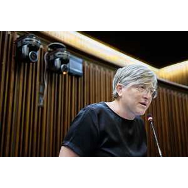 Simona Liguori (Patto-Civica Fvg) - Simona Liguori (Patto-Civica Fvg) 