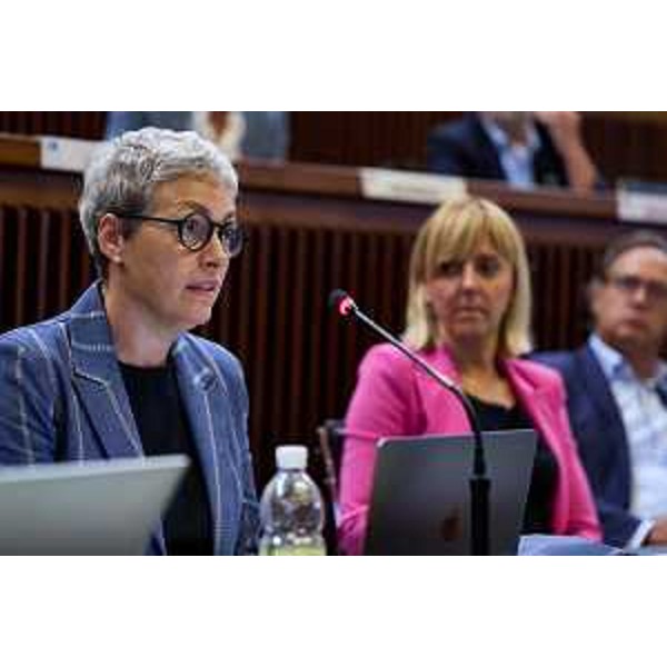 Antonella Faggiani (Smart Land) - Antonella Faggiani (Smart Land) 