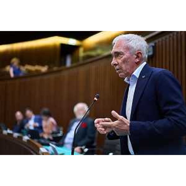 Riccardo Novelli (FI) - Riccardo Novelli (FI)