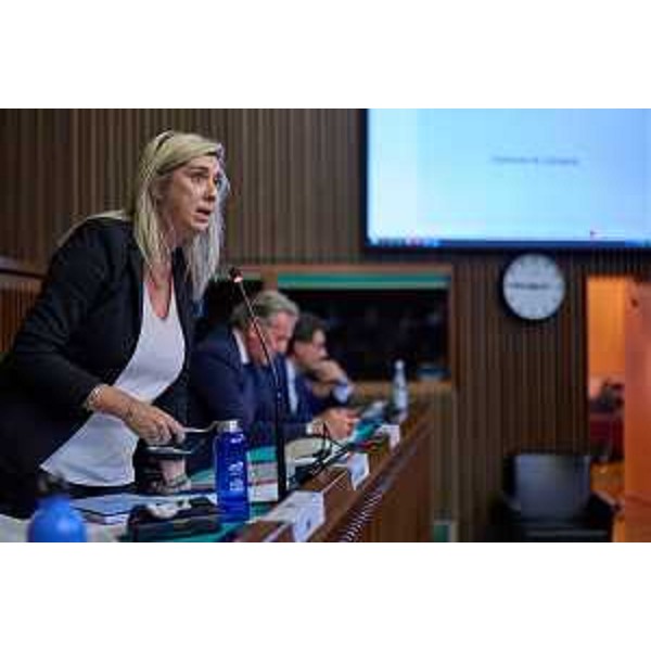 Cristina Amirante, assessore Fvg a Infrastrutture e Territorio - Cristina Amirante, assessore Fvg a Infrastrutture e Territorio