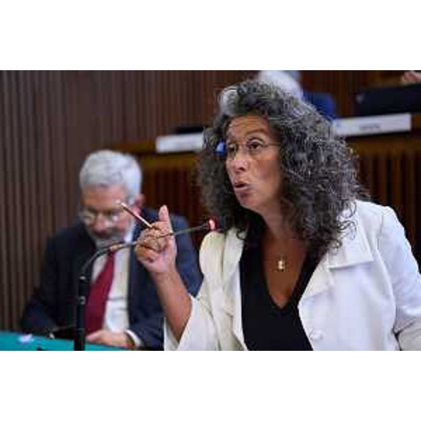 Serena Pellegrino (Avs) - Serena Pellegrino (Avs)