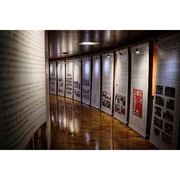 Una parte dei pannelli esposti - Una parte dei pannelli esposti