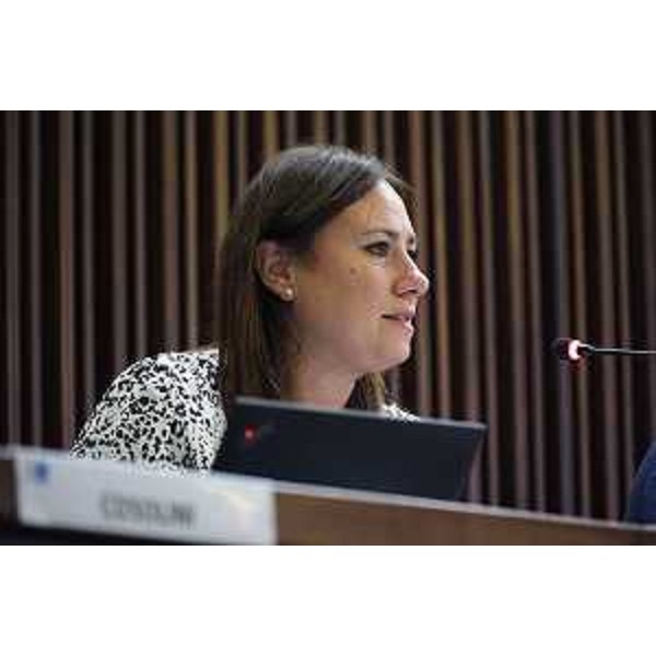 Question e mozioni - Question e mozioni