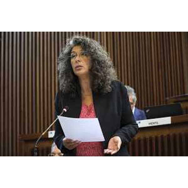 Serena Pellegrino (Avs) - Seduta d' Aula