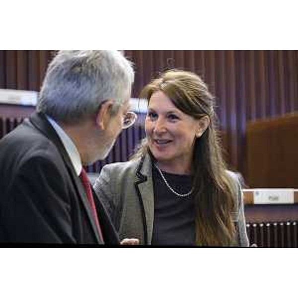 Rosaria Capozzi (M5S) - I Commissione Permanente