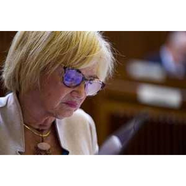 Laura Fasiolo (Pd) - Laura Fasiolo (Pd) 