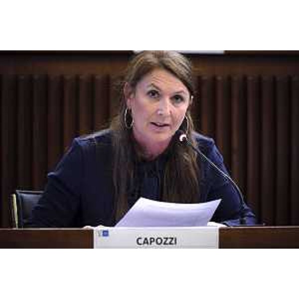 Rosaria Capozzi (M5S) - Commissione