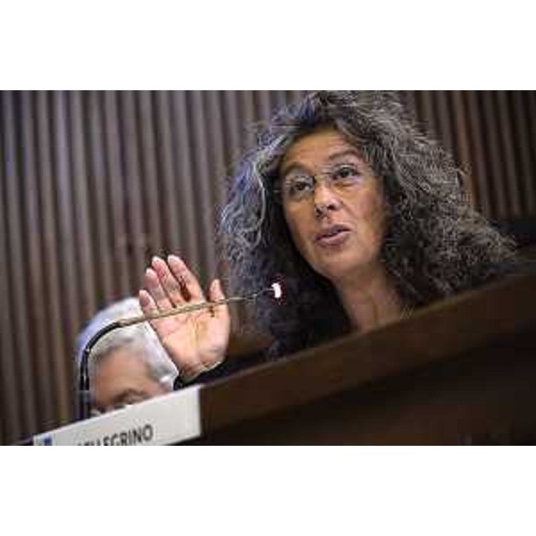 Serena Pellegrino (Avs) - Commissione