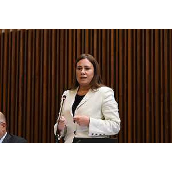 Manuela Celotti (Pd) - Manuela Celotti (Pd)