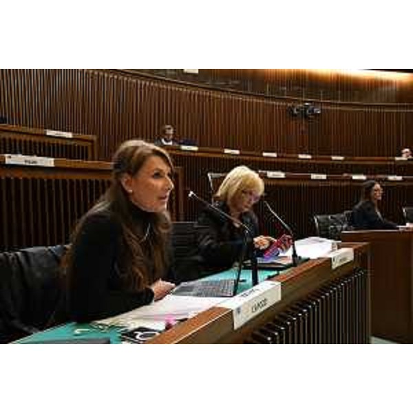 Rosaria Capozzi (Movimento 5 Stelle) - Rosaria Capozzi (Movimento 5 Stelle)