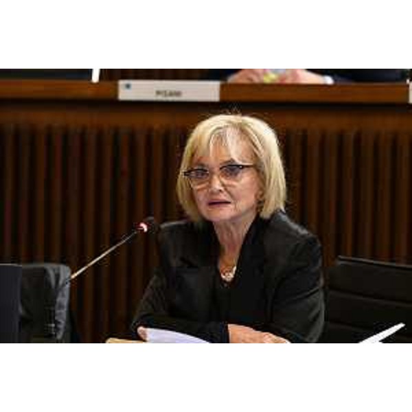 Laura Fasiolo (Pd) - Laura Fasiolo (Pd)