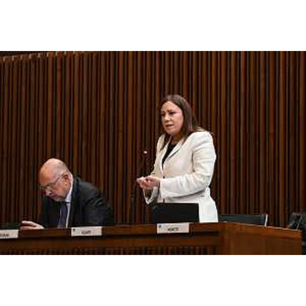 Manuela Celotti e Roberto Cosolini (Pd) - Manuela Celotti e Roberto Cosolini (Pd)