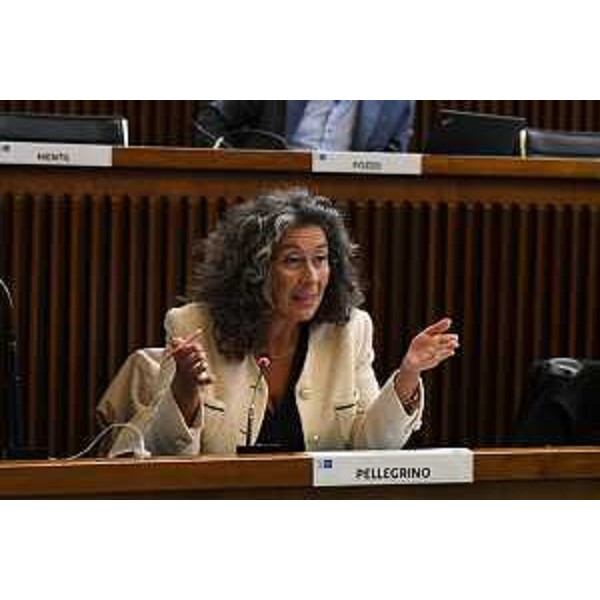 Serena Pellegrino (Alleanza Verdi e Sinistra) - Serena Pellegrino (Alleanza Verdi e Sinistra)