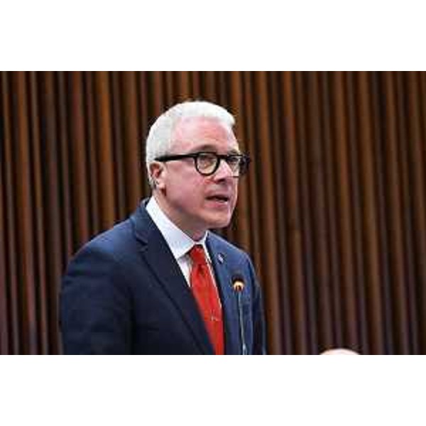 Andrea Cabibbo, capogruppo di Forza Italia - Andrea Cabibbo, capogruppo di Forza Italia