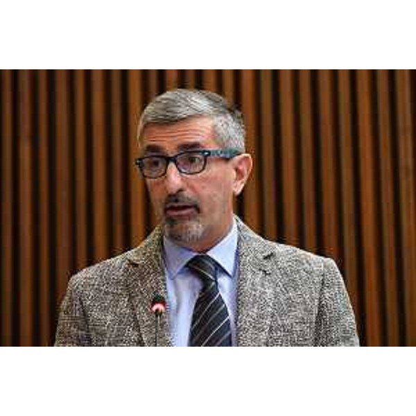 Andrea Carli (Pd) - Andrea Carli (Pd)