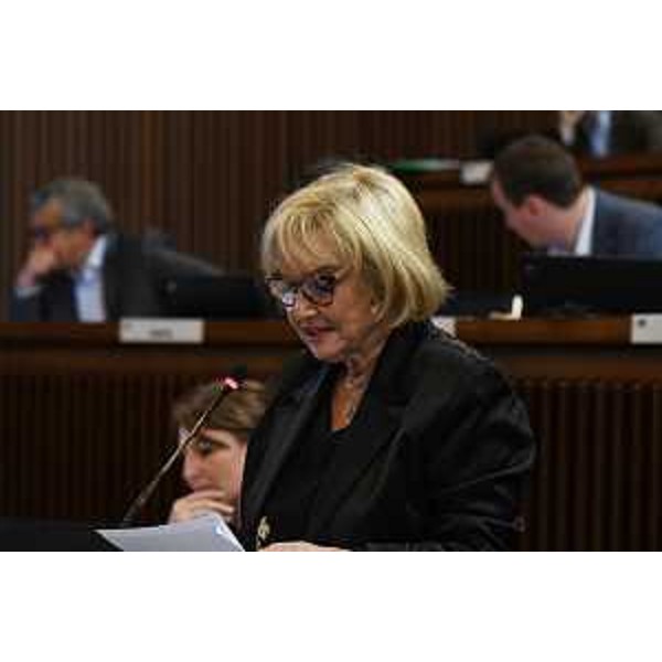 Laura Fasiolo (Pd) - Laura Fasiolo (Pd)