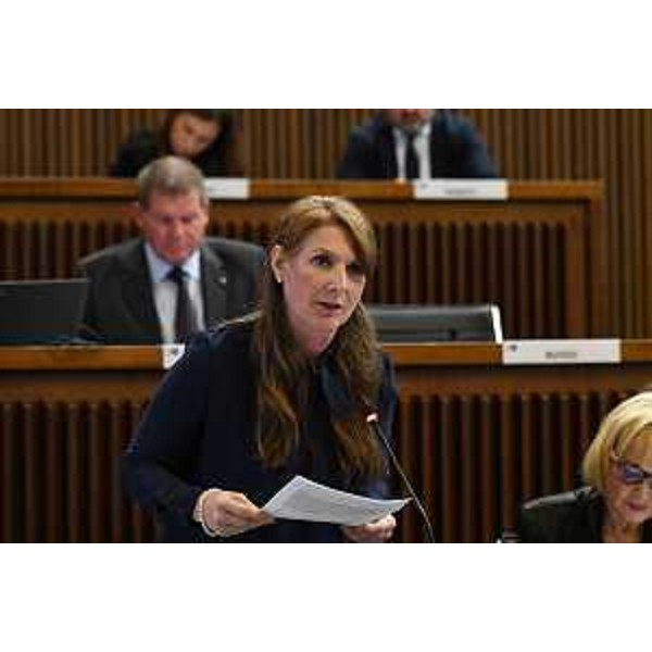 Rosaria Capozzi (M5S) - Rosaria Capozzi (M5S)