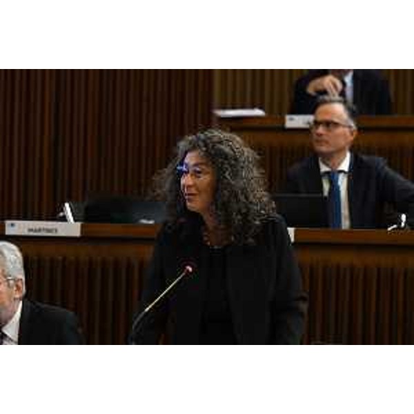 Serena Pellegrino (Avs) - Serena Pellegrino (Avs)