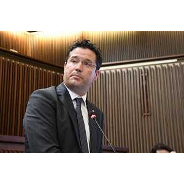 Markus Maurmair (FdI) - Markus Maurmair (FdI)