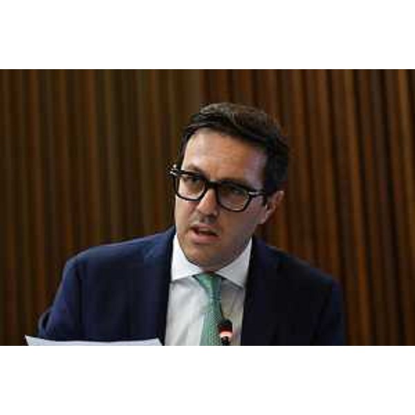 Igor Treleani (FdI) - Igor Treleani (FdI)