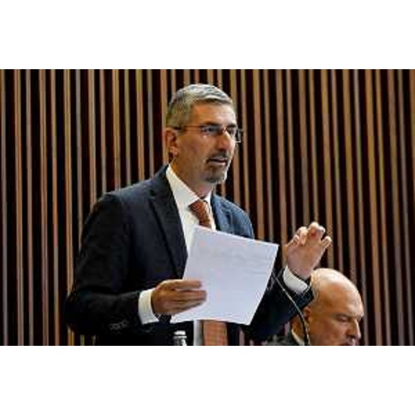 Andrea Carli (Pd) - Andrea Carli (Pd)