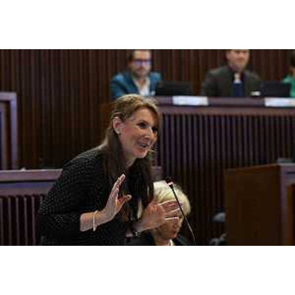 Rosaria Capozzi (M5S) - Rosaria Capozzi (M5S)