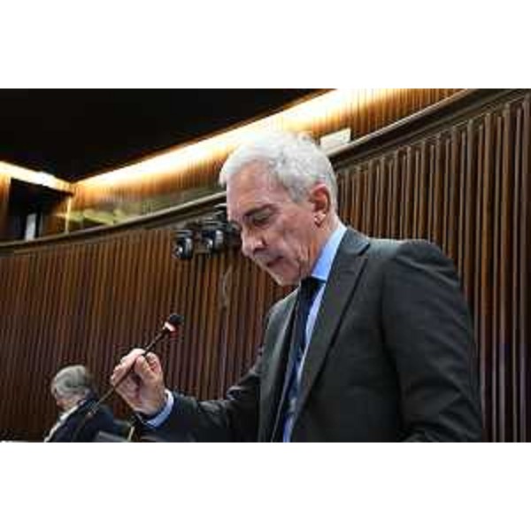 Roberto Novelli (FI) - Roberto Novelli (FI)