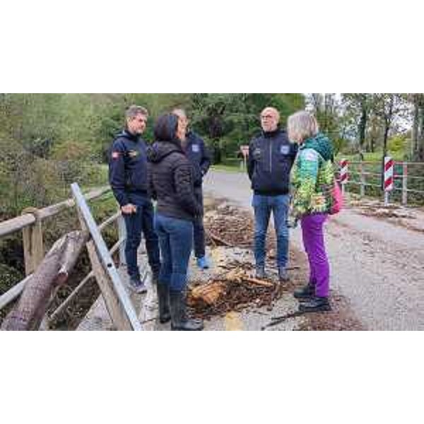 Riccardi a Trasaghis - Riccardi a Trasaghis