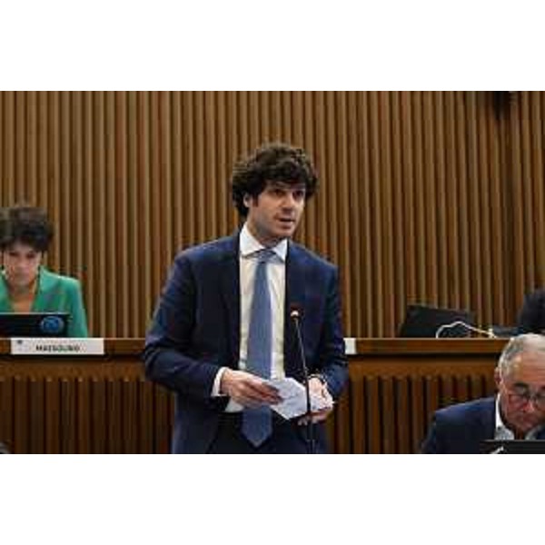 Simone Polesello (Fp) - Simone Polesello (Fp)