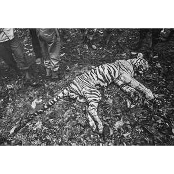 Uno scatto della mostra "India oggi" al Magazzino delle Idee di Trieste - Uno scatto della mostra "India oggi" al Magazzino delle Idee di Trieste