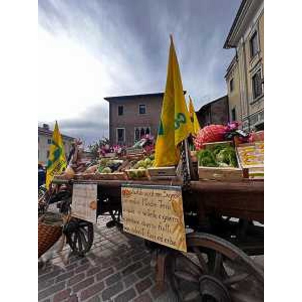 La settantatreesima Giornata provinciale del Ringraziamento agricolo di Gemona del Friuli - La settantatreesima Giornata provinciale del Ringraziamento agricolo di Gemona del Friuli