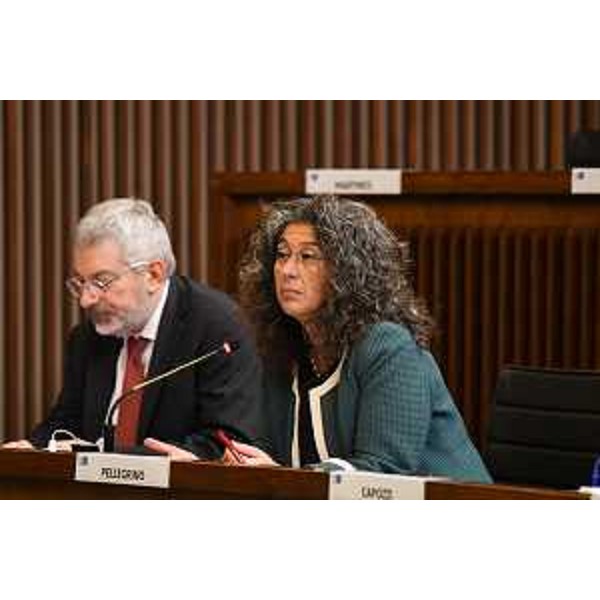 Serena Pellegrino (Avs) - Serena Pellegrino (Avs)