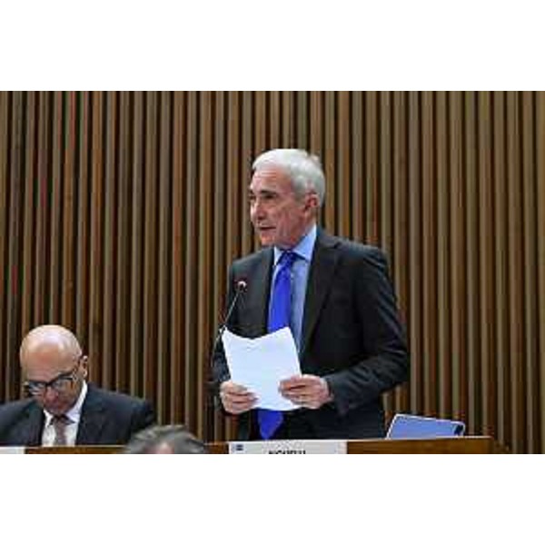 Roberto Novelli (FI) - Roberto Novelli (FI)