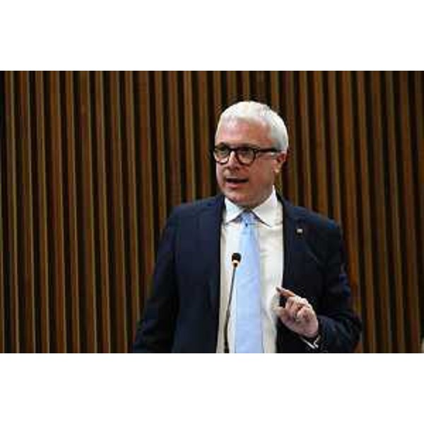 Andrea Cabibbo (FI) - Andrea Cabibbo (FI)