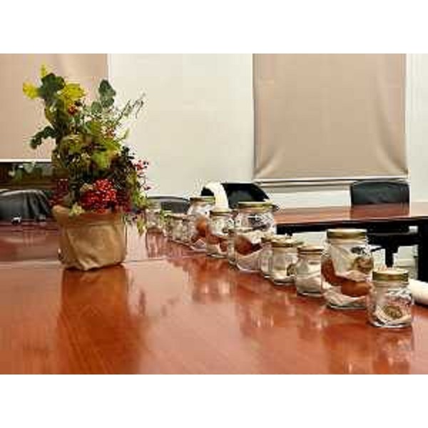 I quindici tartufi che verranno battuti all'asta - I quindici tartufi che verranno battuti all'asta