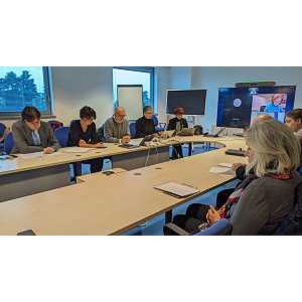 Gli assessori Riccardi, Bini e Rosolen partecipano al Comitato regionale salute e sicurezza sui luoghi di lavoro convocato a Udine - Gli assessori Riccardi, Bini e Rosolen partecipano al Comitato regionale salute e sicurezza sui luoghi di lavoro convocato a Udine 