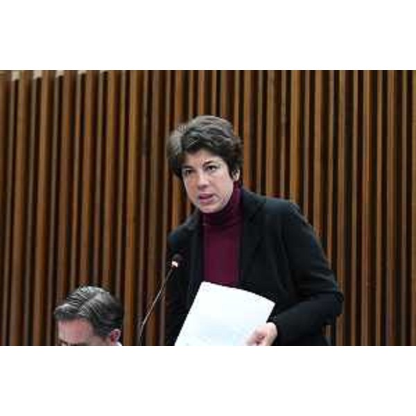 Giulia Massolino (Patto-Civica Fvg) - Giulia Massolino (Patto-Civica Fvg)