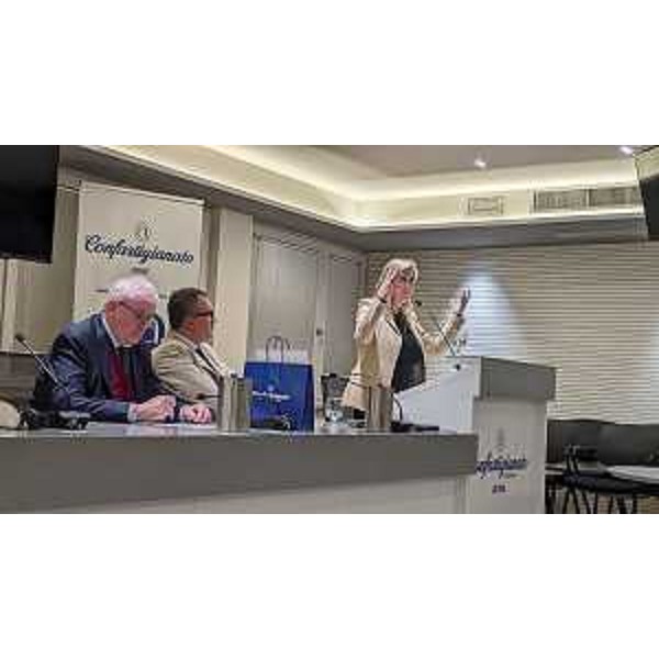 L'assessore Amirante interviene all'incontro con le imprese di Confartigianato Fvg - L'assessore Amirante interviene all'incontro con le imprese di Confartigianato Fvg 