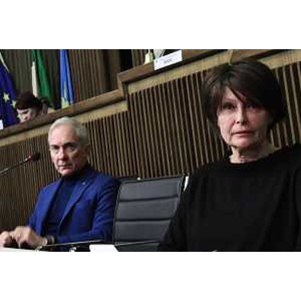 L'assessore regionale Alessia Rosolen interviene in VI Commissione consiliare - L'assessore regionale Alessia Rosolen interviene in VI Commissione consiliare